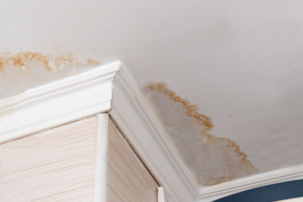 What Causes of a Roof Leak?
